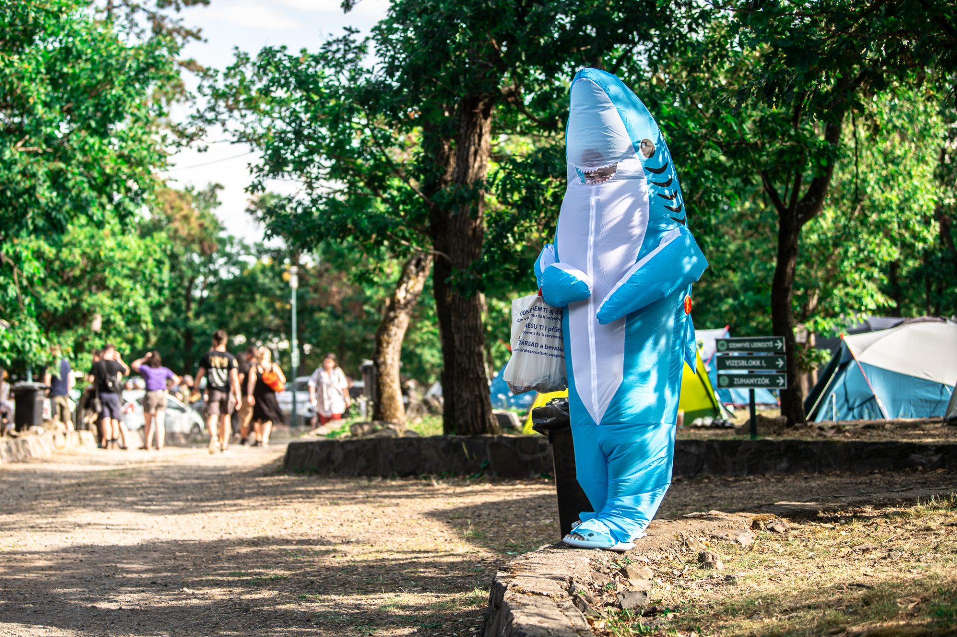 Kék cápa, Fekete Zaj / fotó: Fekete Zaj Facebook Kék cápa, Fekete Zaj / fotó: Fekete Zaj Facebook